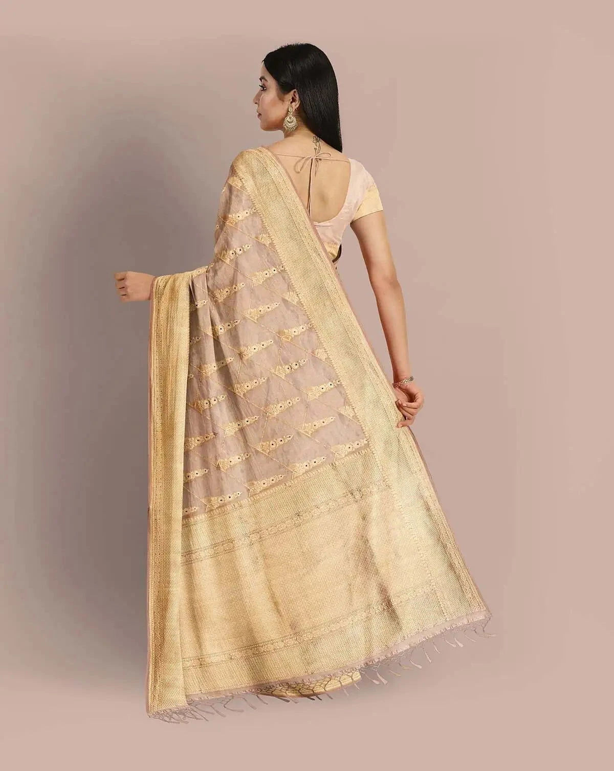 Peach Banarasi Tissue Saree - Pallodstore