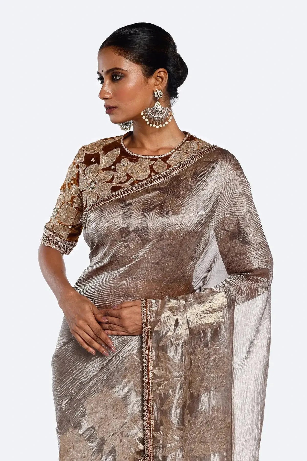 Beige Nakshi Zari Tissue Saree - Pallodstore