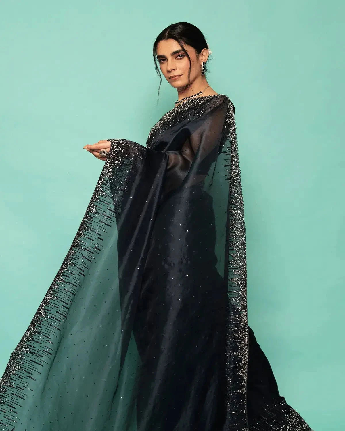Black Organza Saree - Pallodstore
