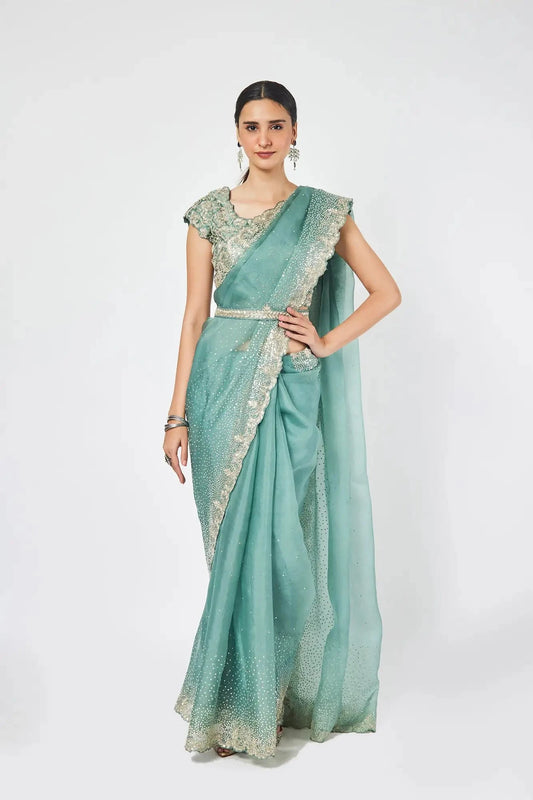 Fern Green Organza stone and cutdana work saree - Pallodstore