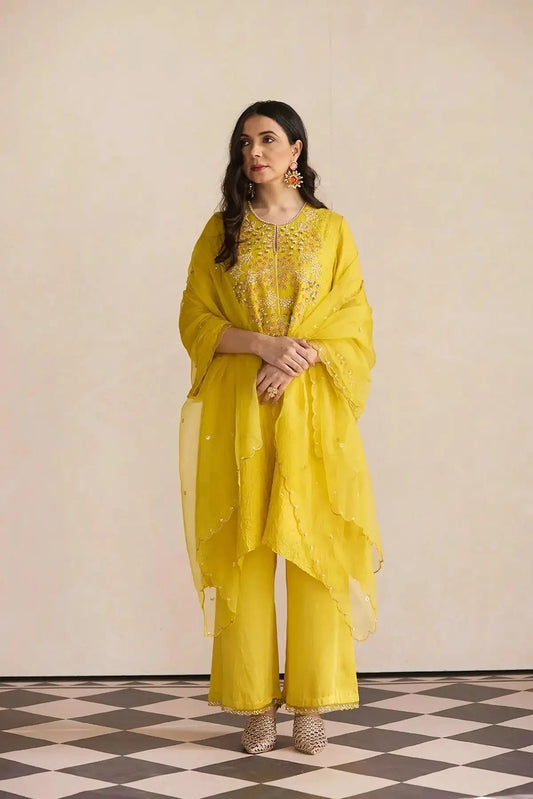 Mango Embroidered Kurta Set - Pallodstore