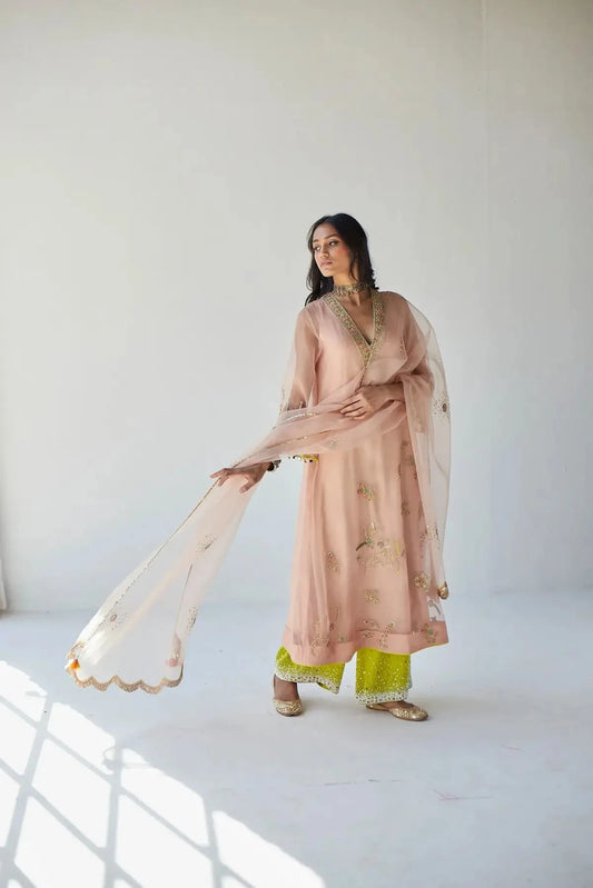 Nude Pink Jaal Organza Kurta Set - Pallodstore