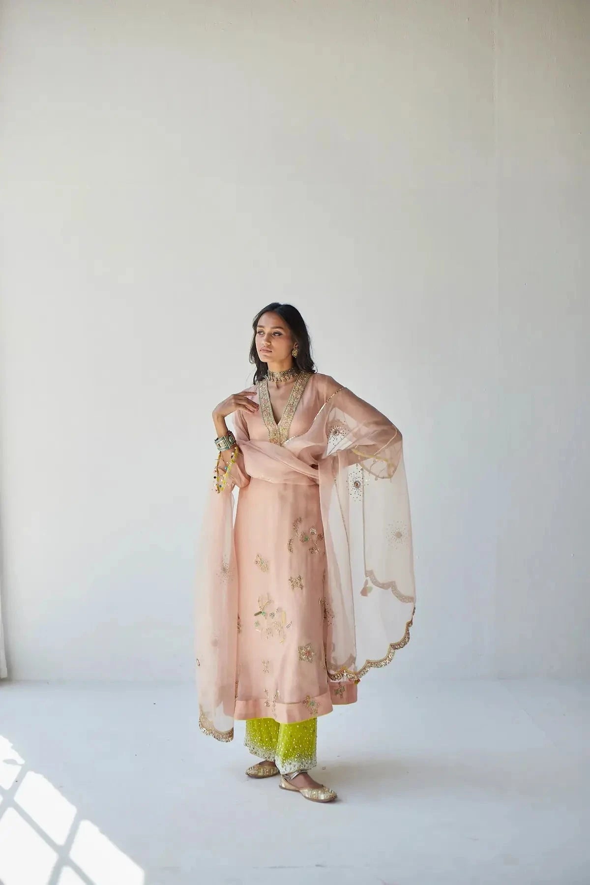 Nude Pink Jaal Organza Kurta Set - Pallodstore