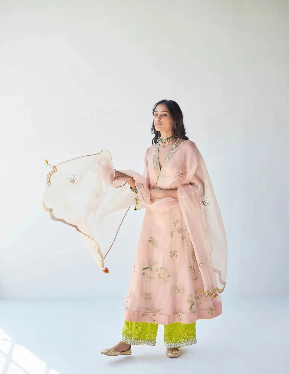 Nude Pink Jaal Organza Kurta Set - Pallodstore