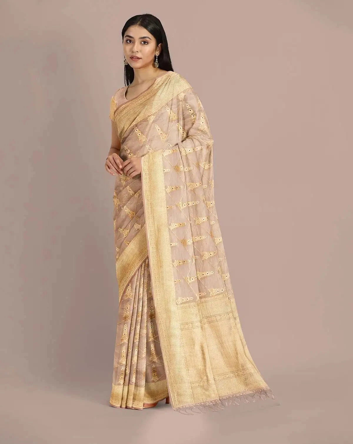 Peach Banarasi Tissue Saree - Pallodstore