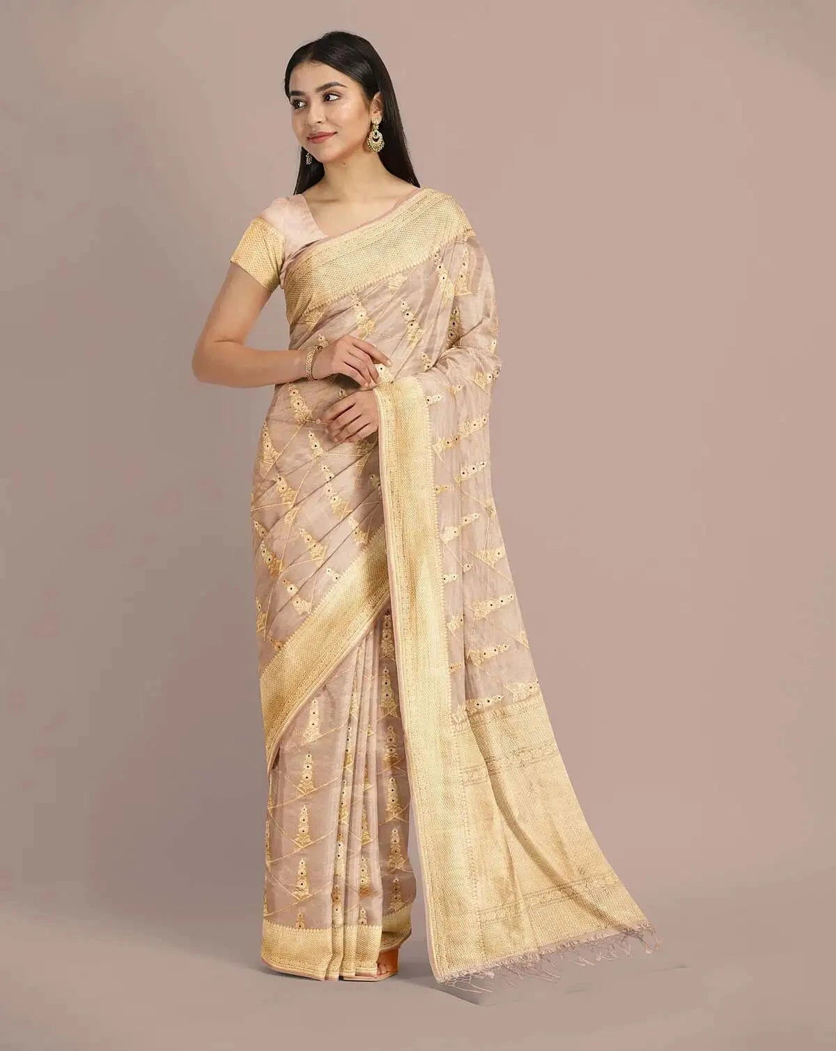 Peach Banarasi Tissue Saree - Pallodstore