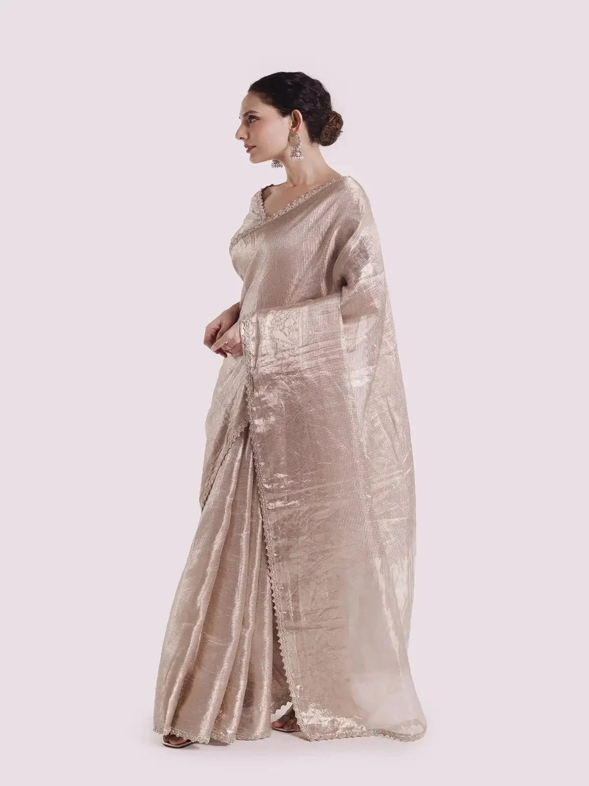 Platinum Tissue Embellished Saree - Pallodstore
