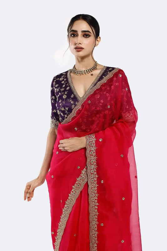 Rani Resham Organza Saree - Pallodstore
