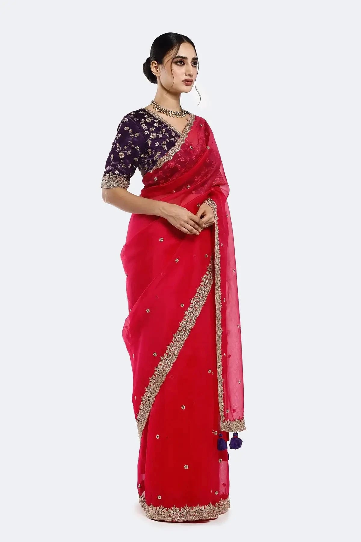 Rani Resham Organza Saree - Pallodstore