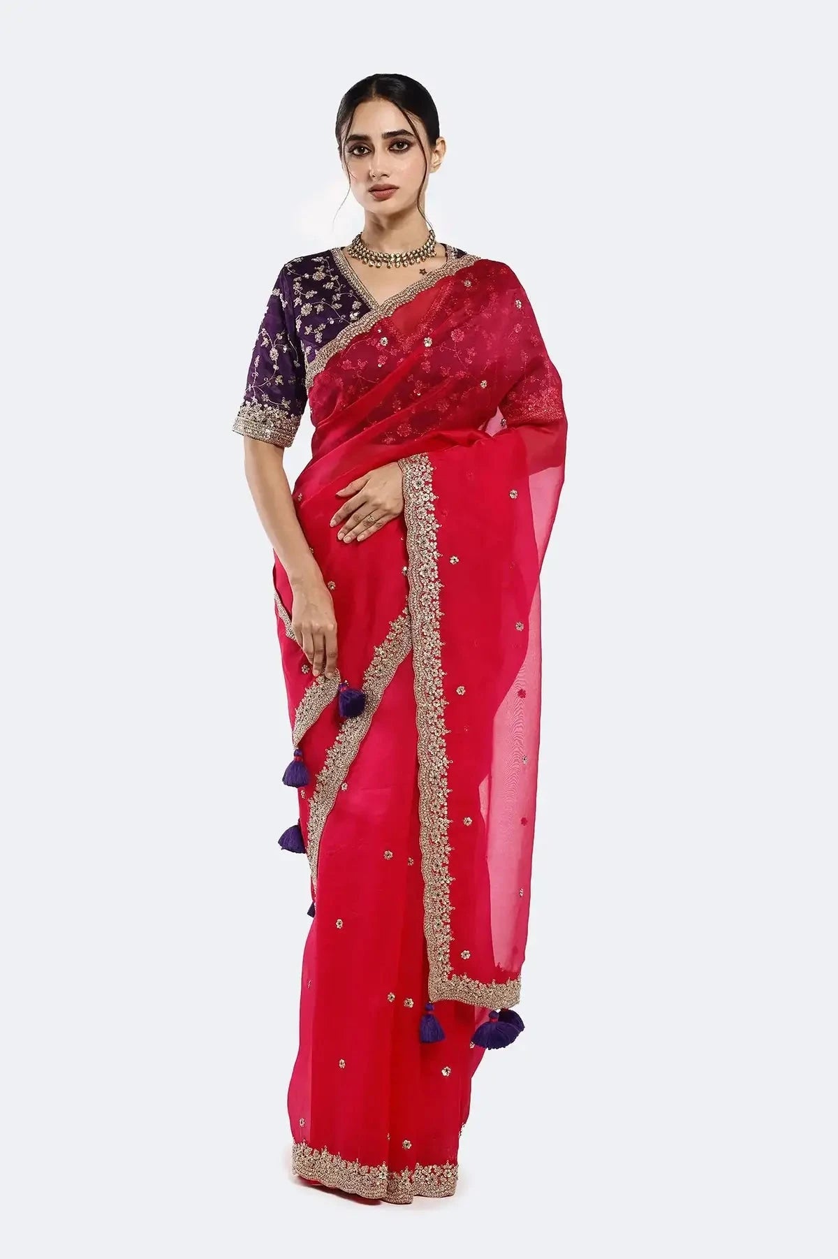 Rani Resham Organza Saree - Pallodstore