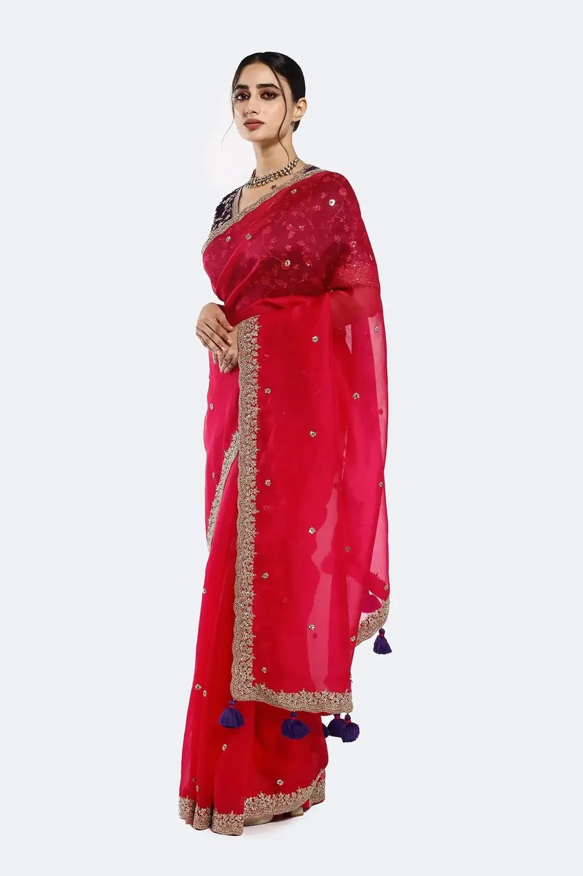 Rani Resham Organza Saree - Pallodstore