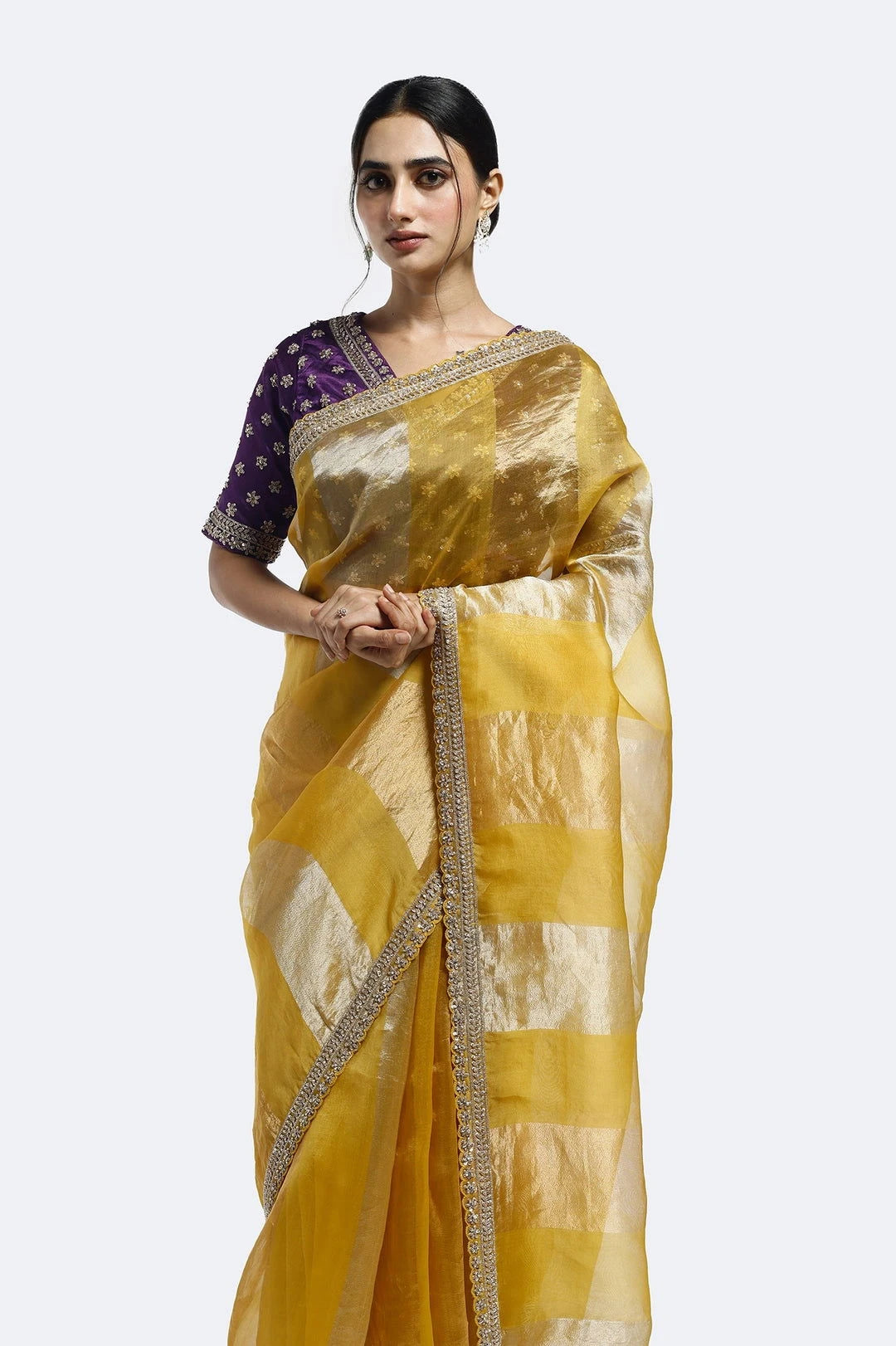 Subtly Panelled Tissue Saree - Pallodstore