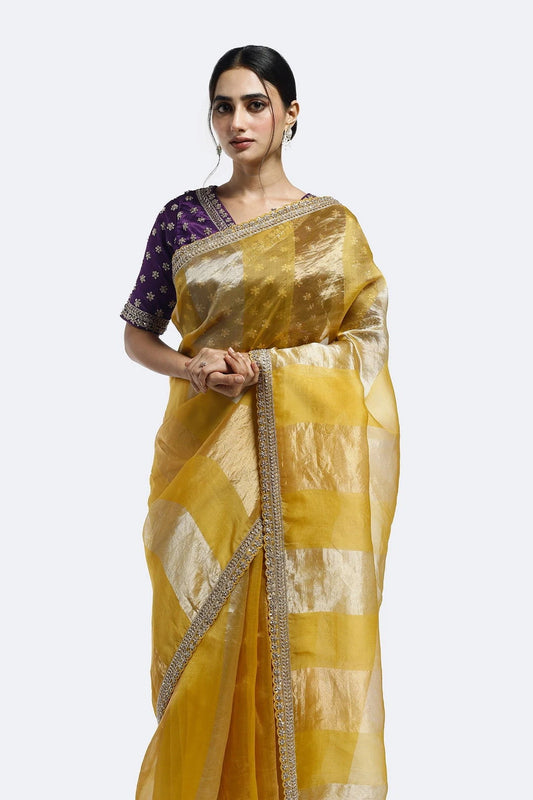 Subtly Panelled Tissue Saree - Pallodstore
