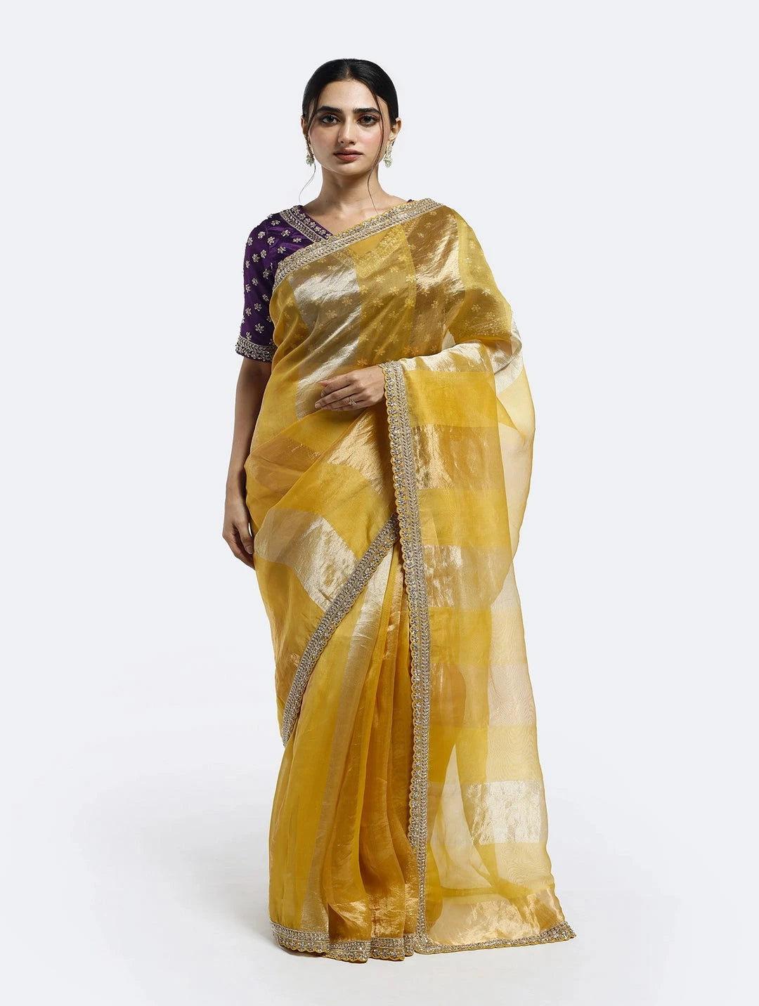 Subtly Panelled Tissue Saree - Pallodstore