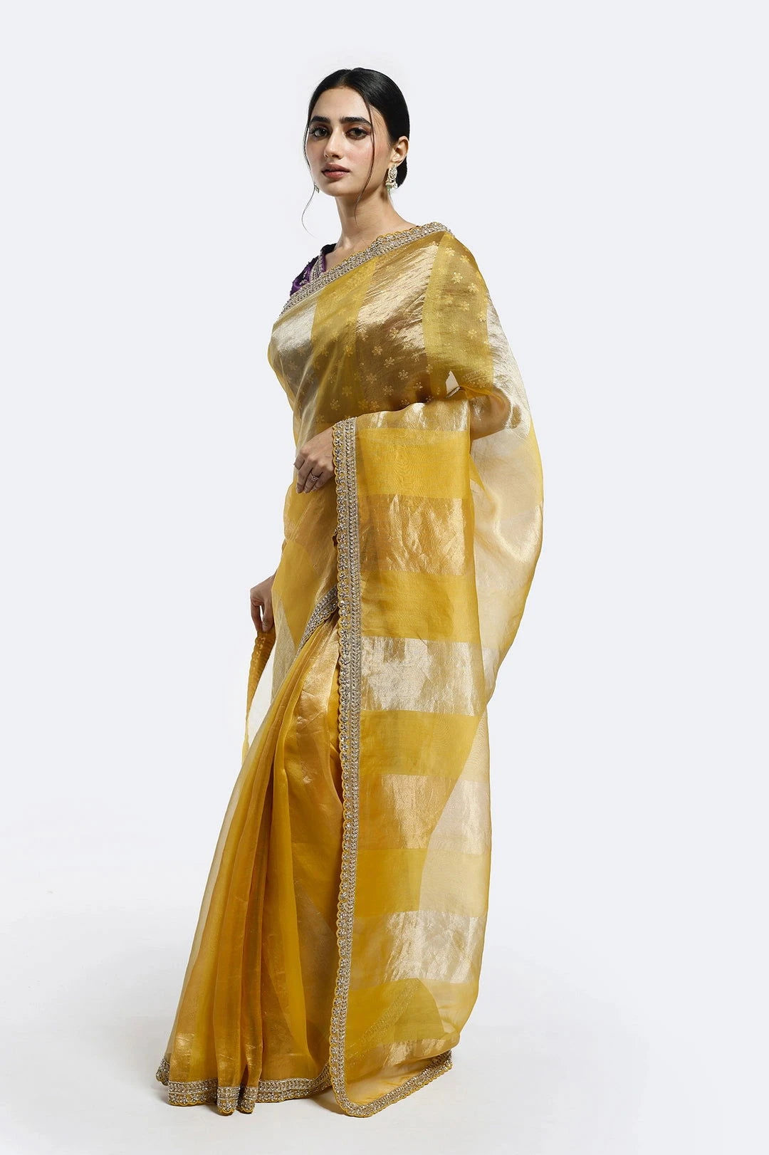 Subtly Panelled Tissue Saree - Pallodstore