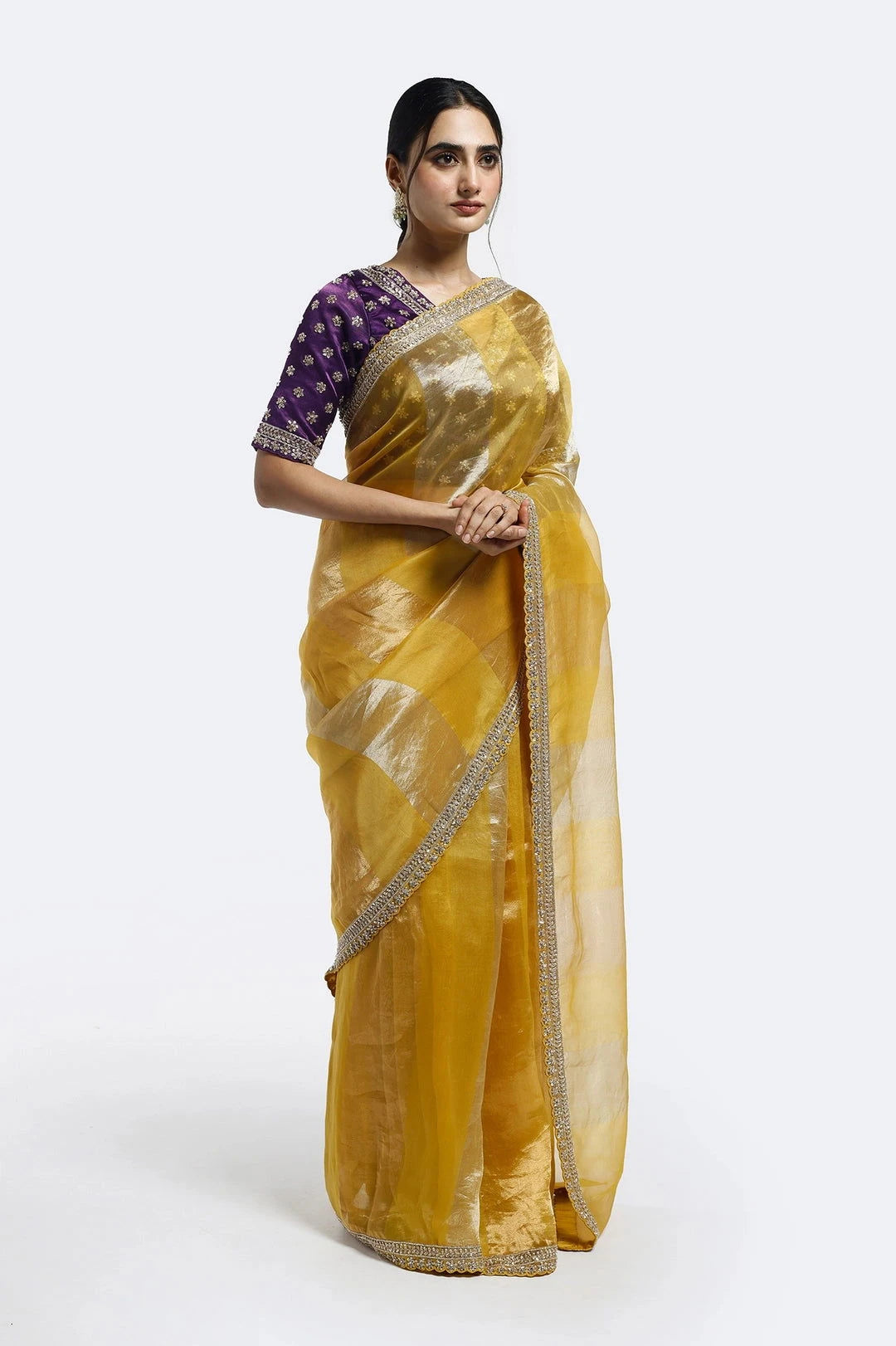 Subtly Panelled Tissue Saree - Pallodstore