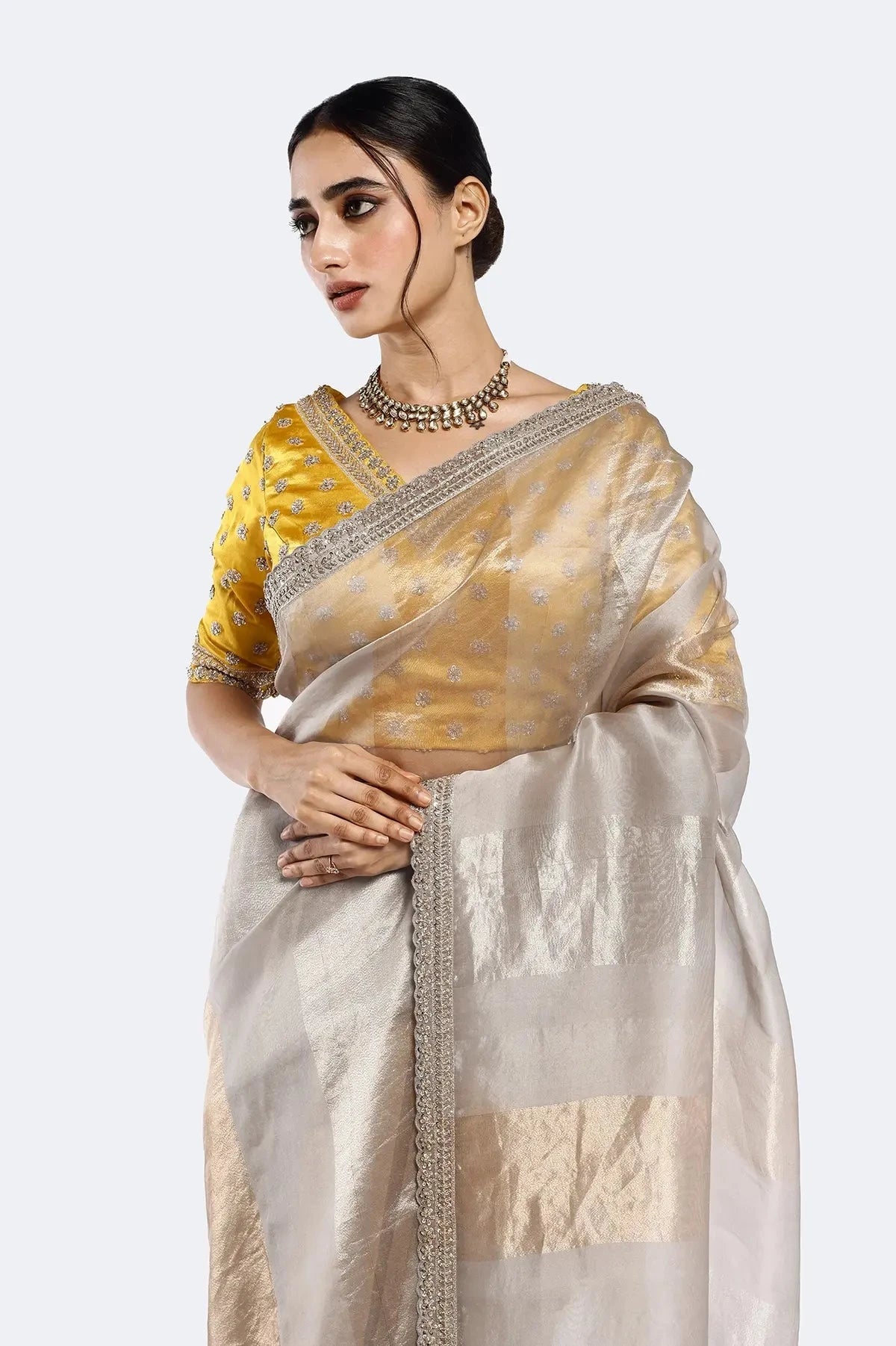 Subtly Panelled Tissue Saree - Pallodstore