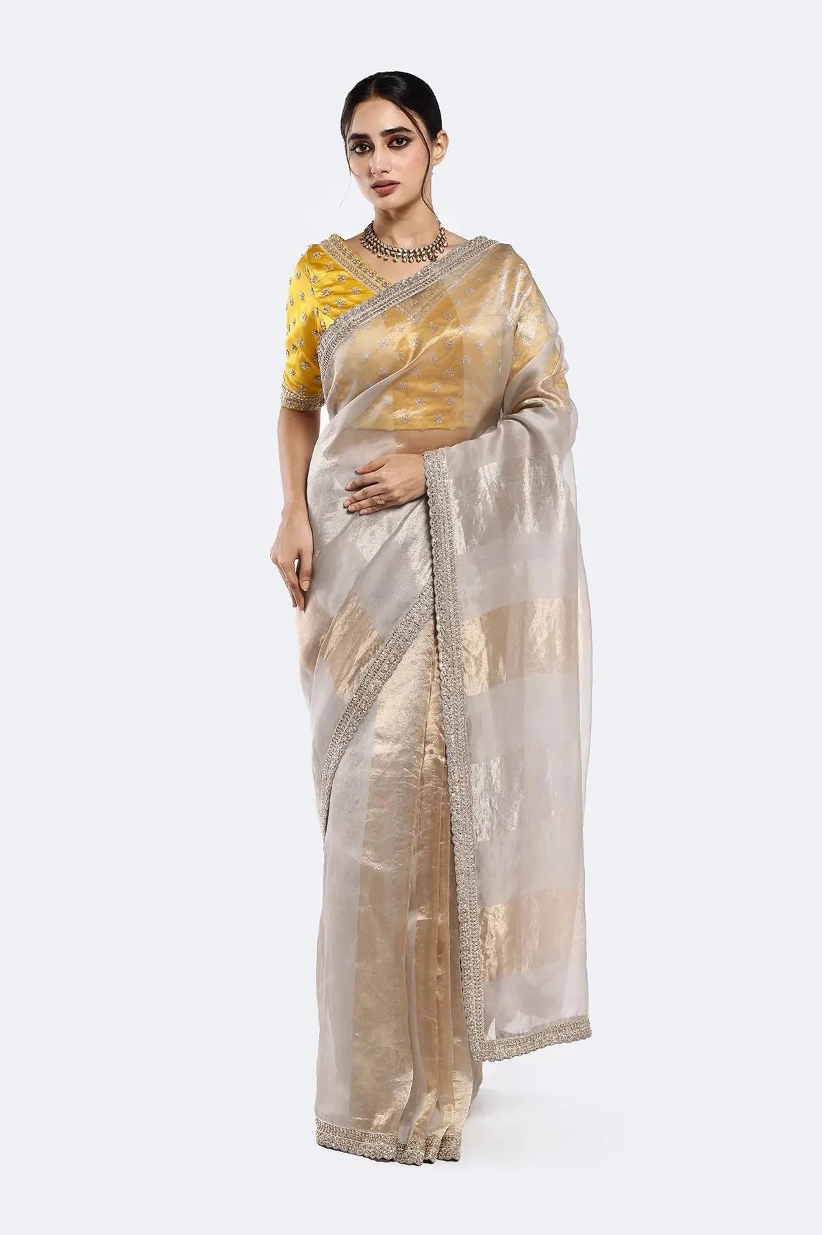 Subtly Panelled Tissue Saree - Pallodstore