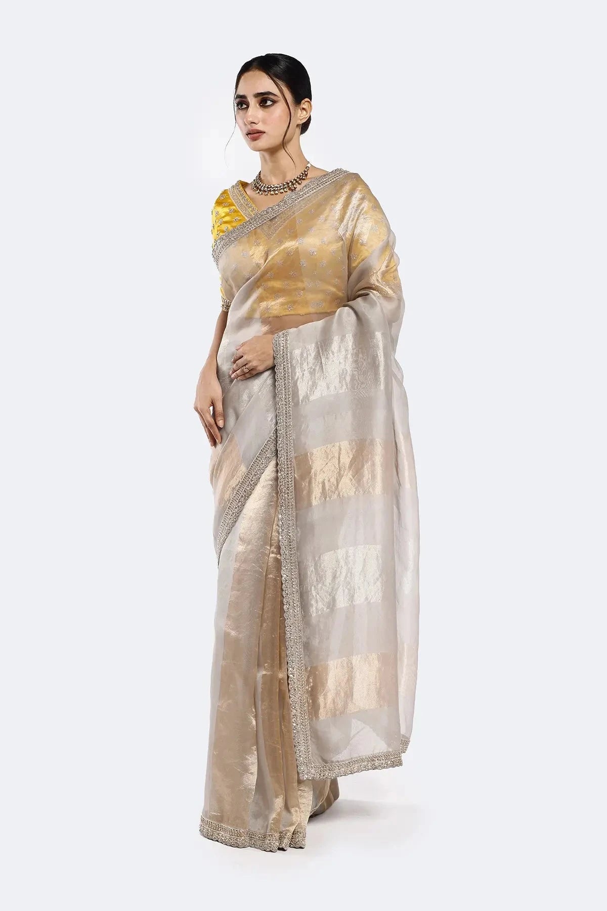 Subtly Panelled Tissue Saree - Pallodstore